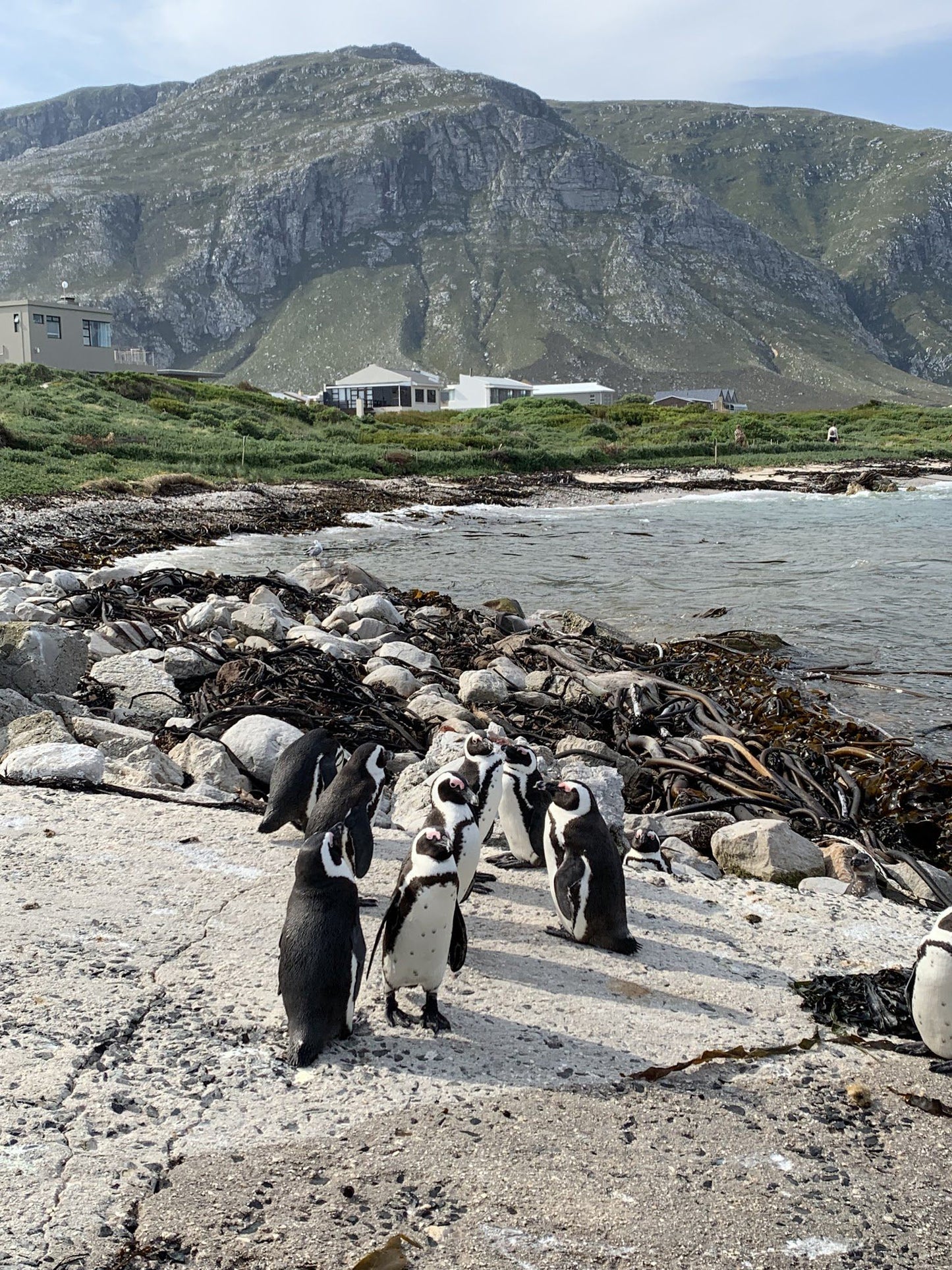  Betty's Bay Main Beach