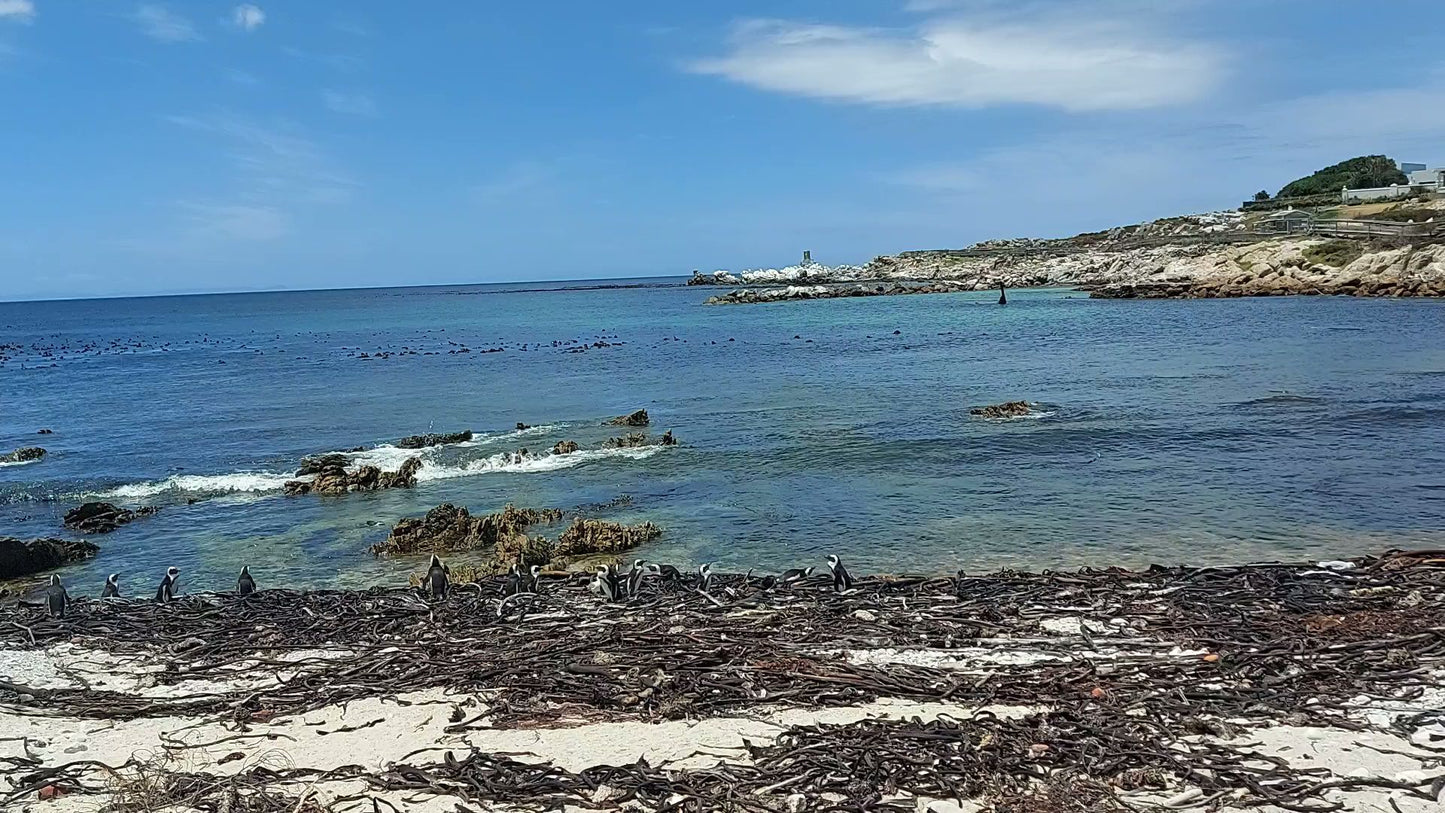  Betty's Bay Main Beach