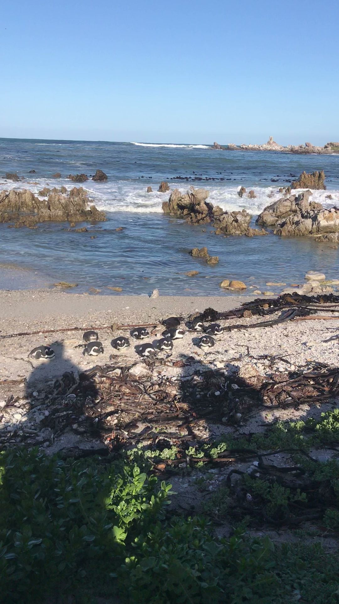  Betty's Bay Main Beach