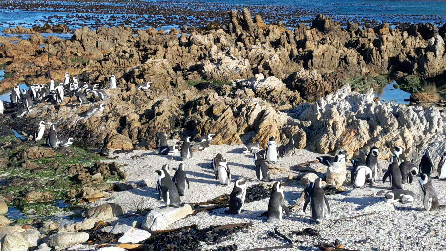  Betty's Bay Main Beach