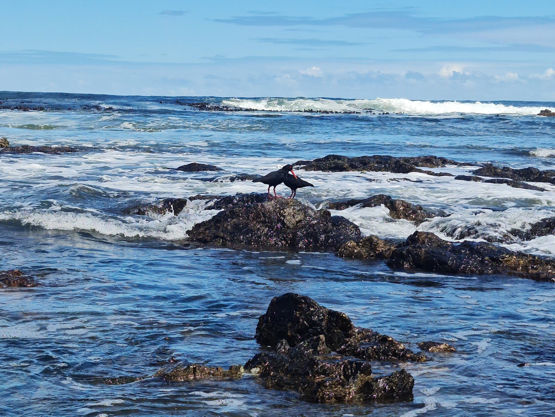  Betty's Bay Main Beach