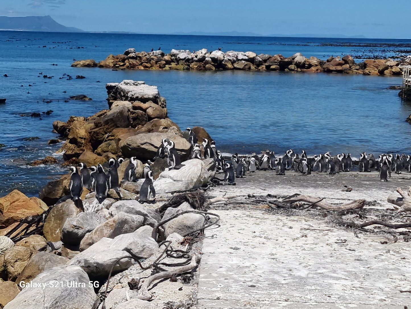  Betty's Bay Main Beach