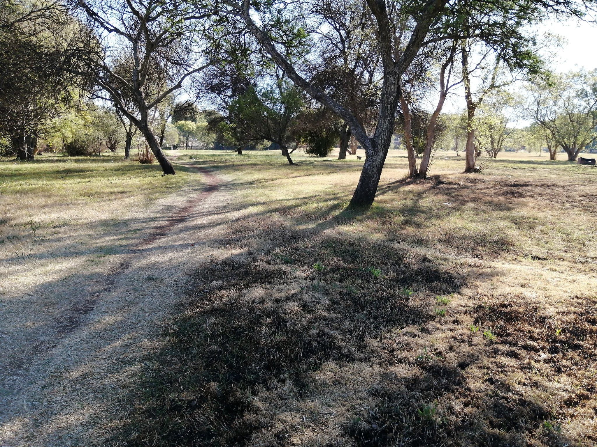  Bezuidenhout Park