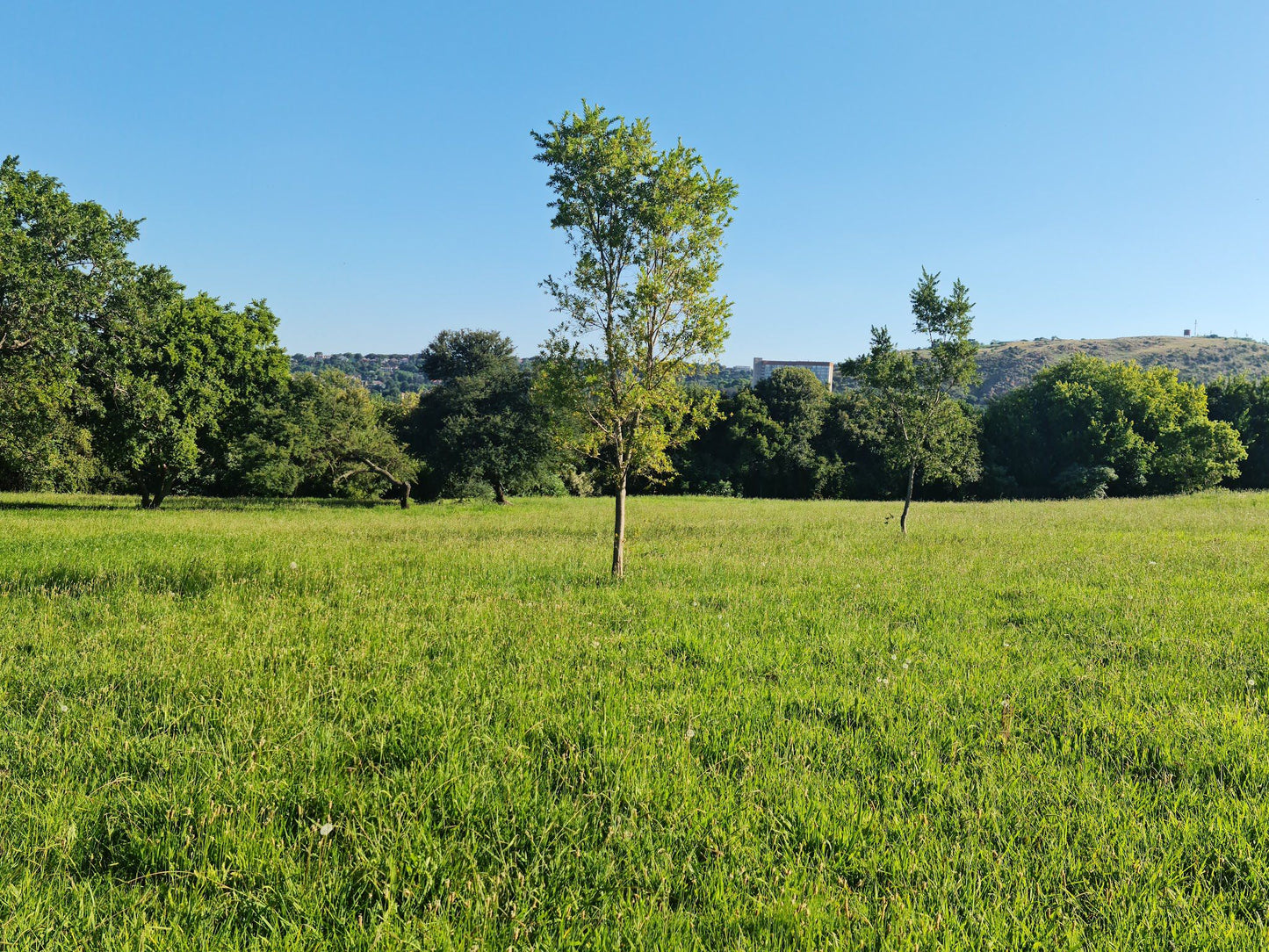  Bezuidenhout Park