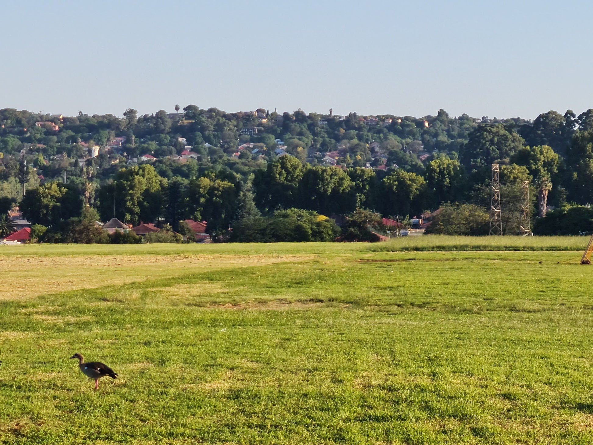  Bezuidenhout Park