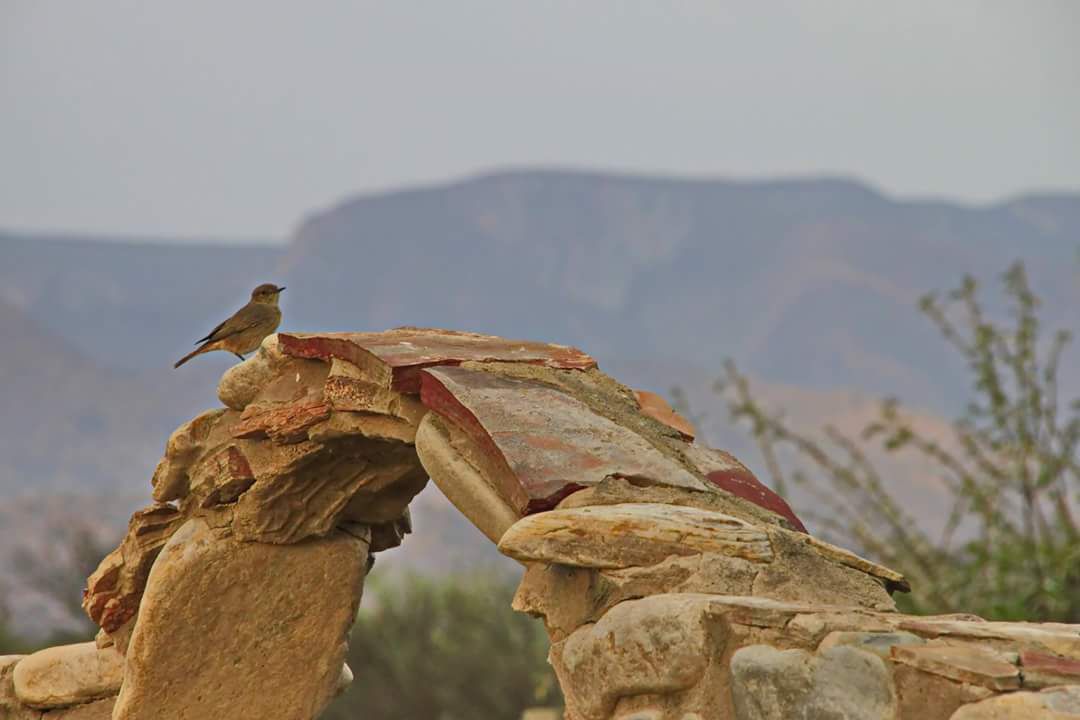  Bhejane Game Reserve