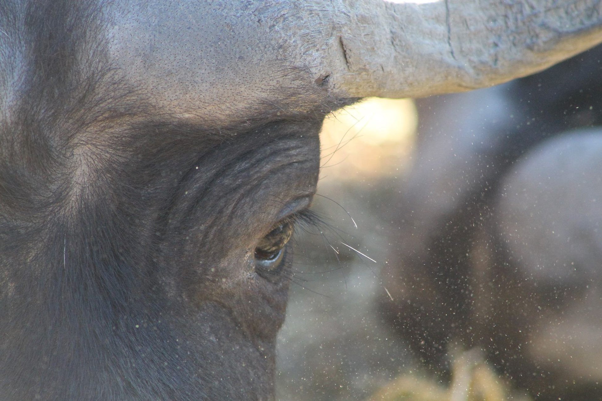  Bhejane Game Reserve