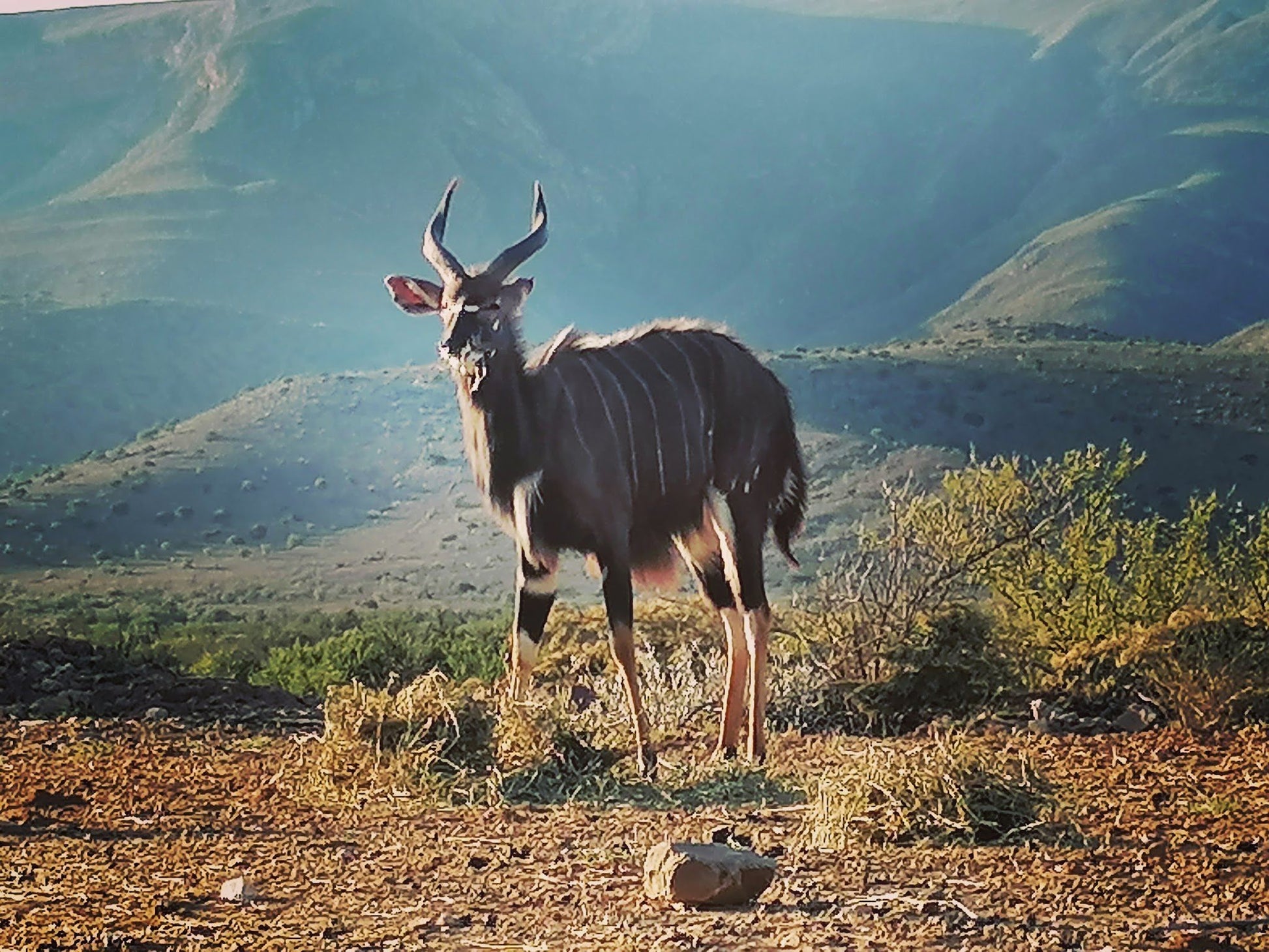  Bhejane Game Reserve