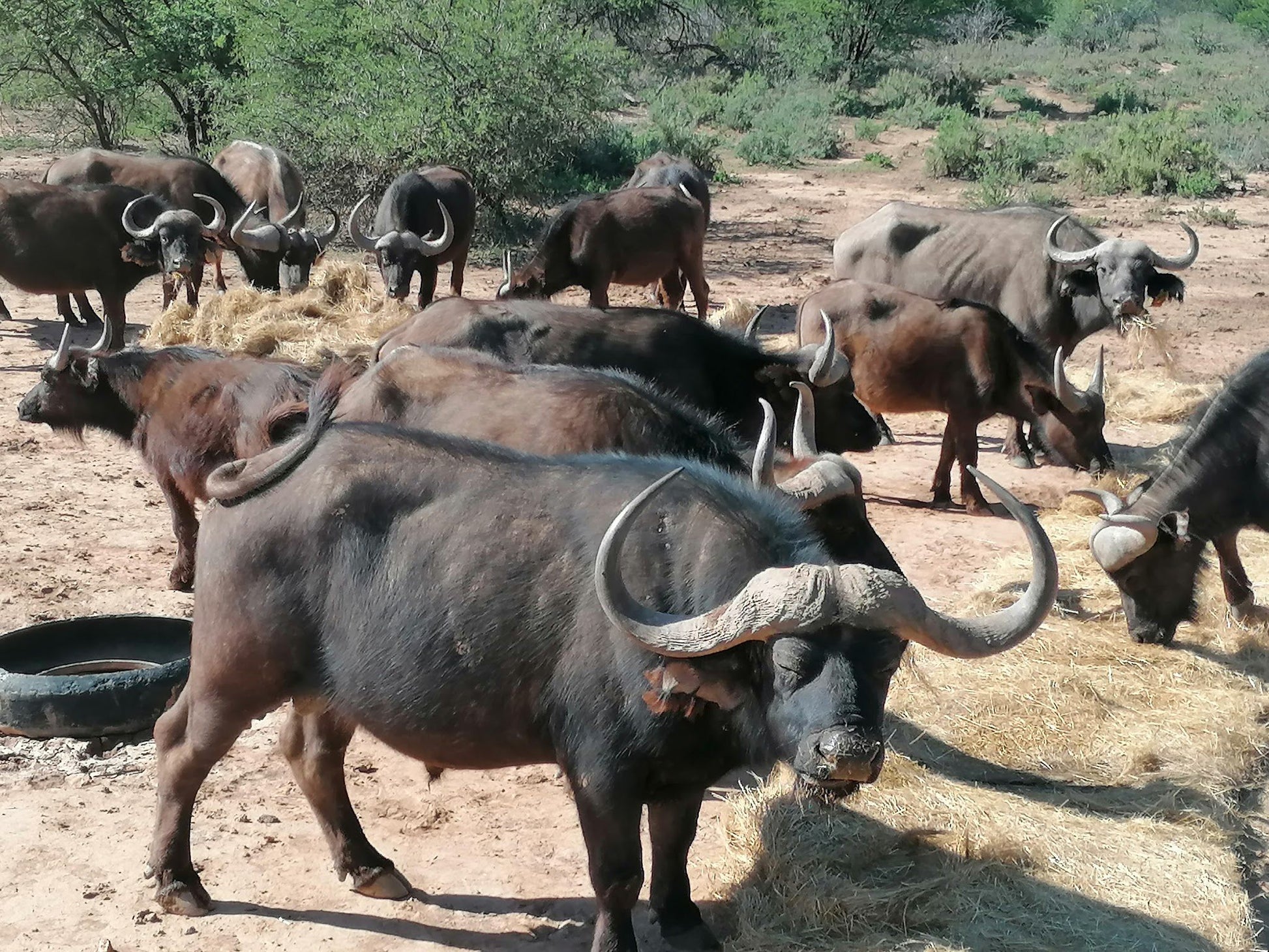  Bhejane Game Reserve