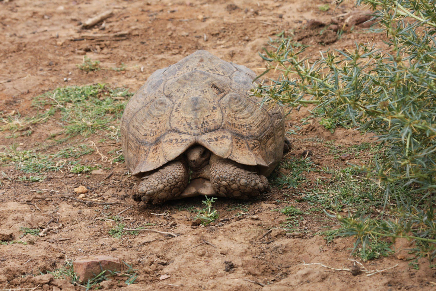  Bhejane Game Reserve