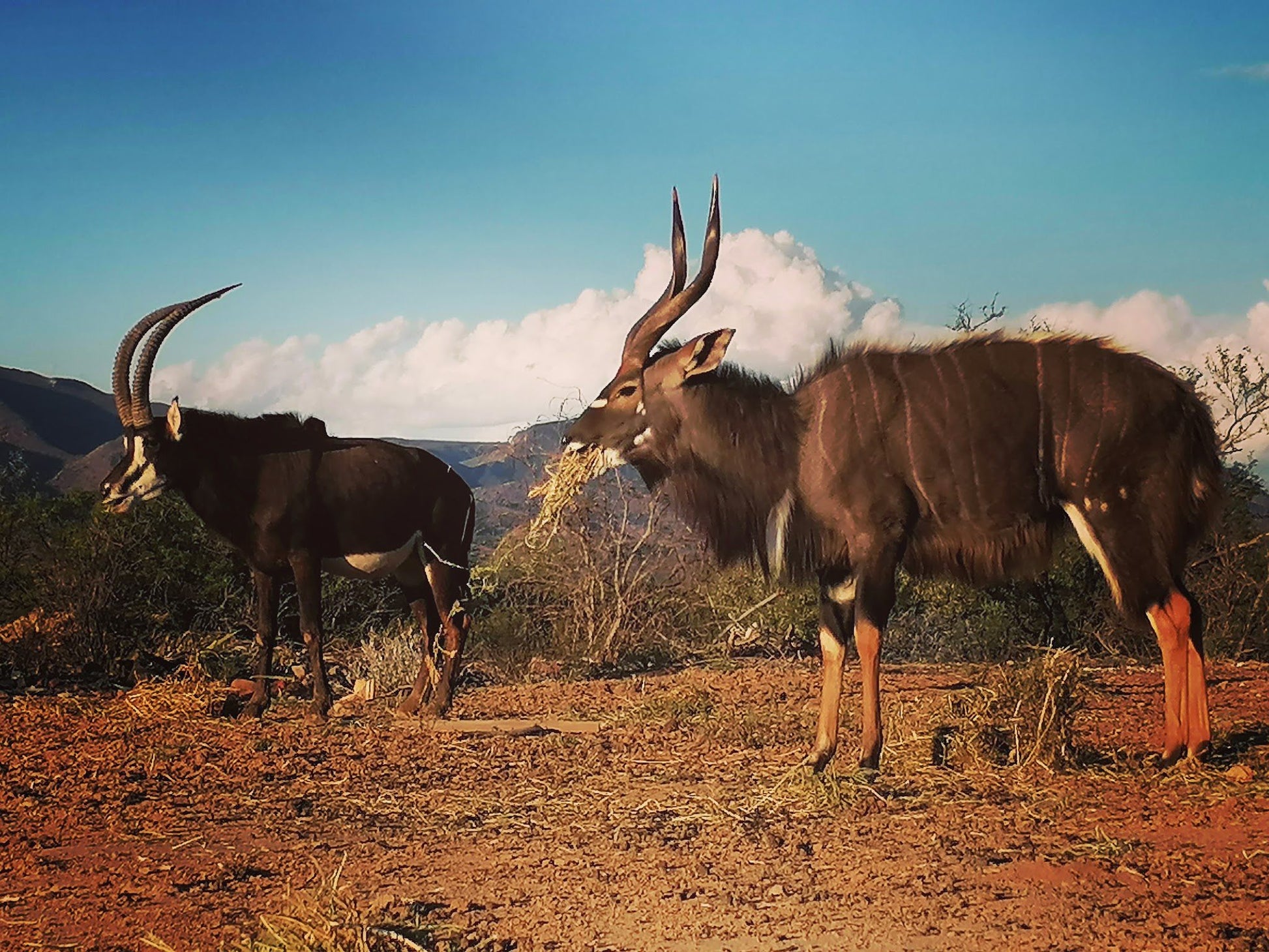  Bhejane Game Reserve