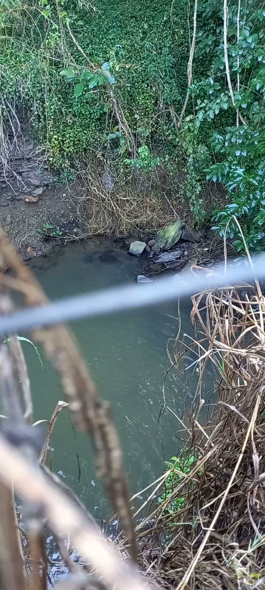  Bisley Valley Nature Reserve