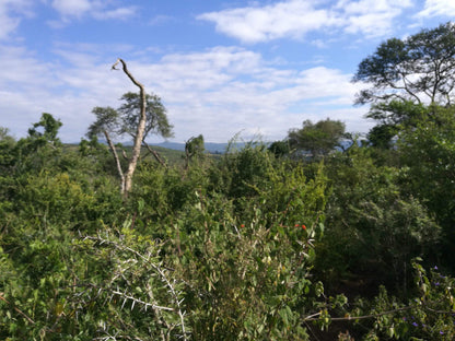  Bisley Valley Nature Reserve