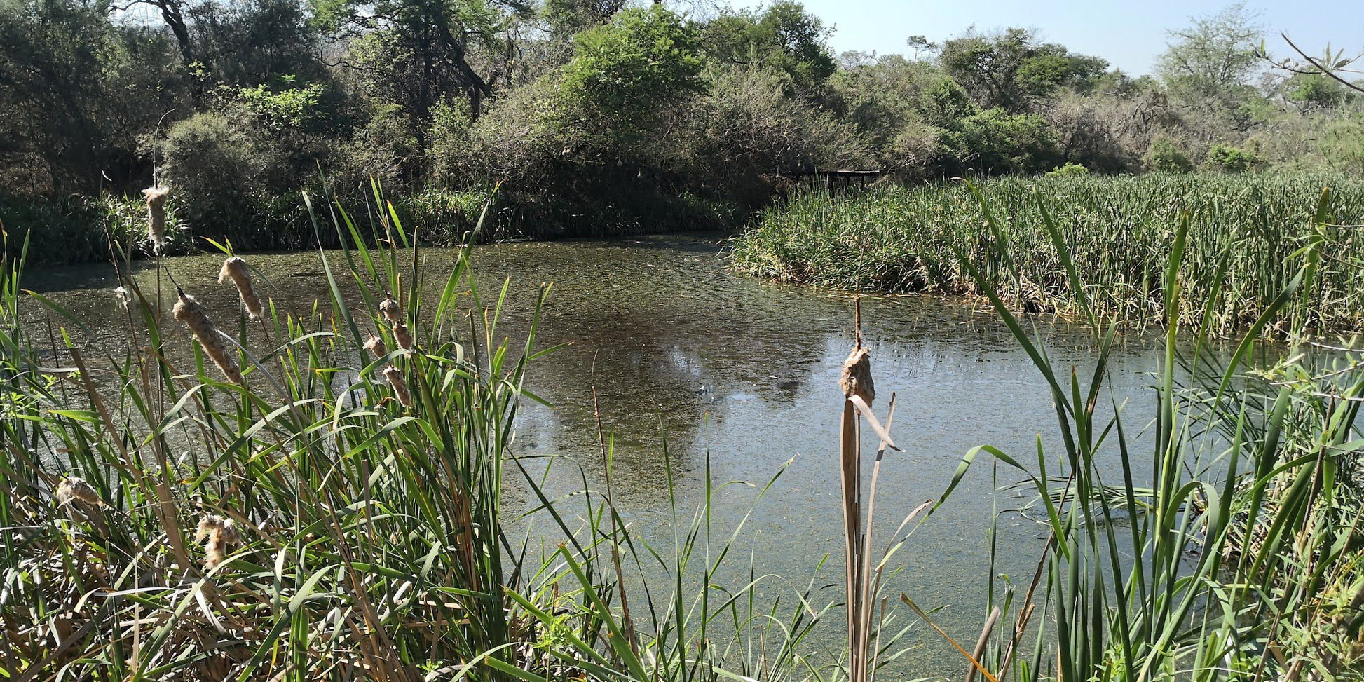  Bisley Valley Nature Reserve