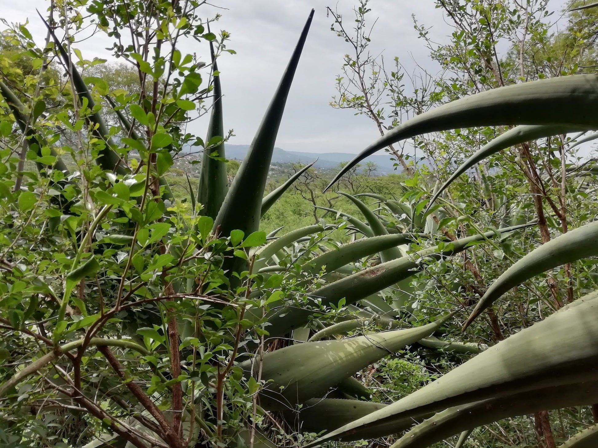  Bisley Valley Nature Reserve