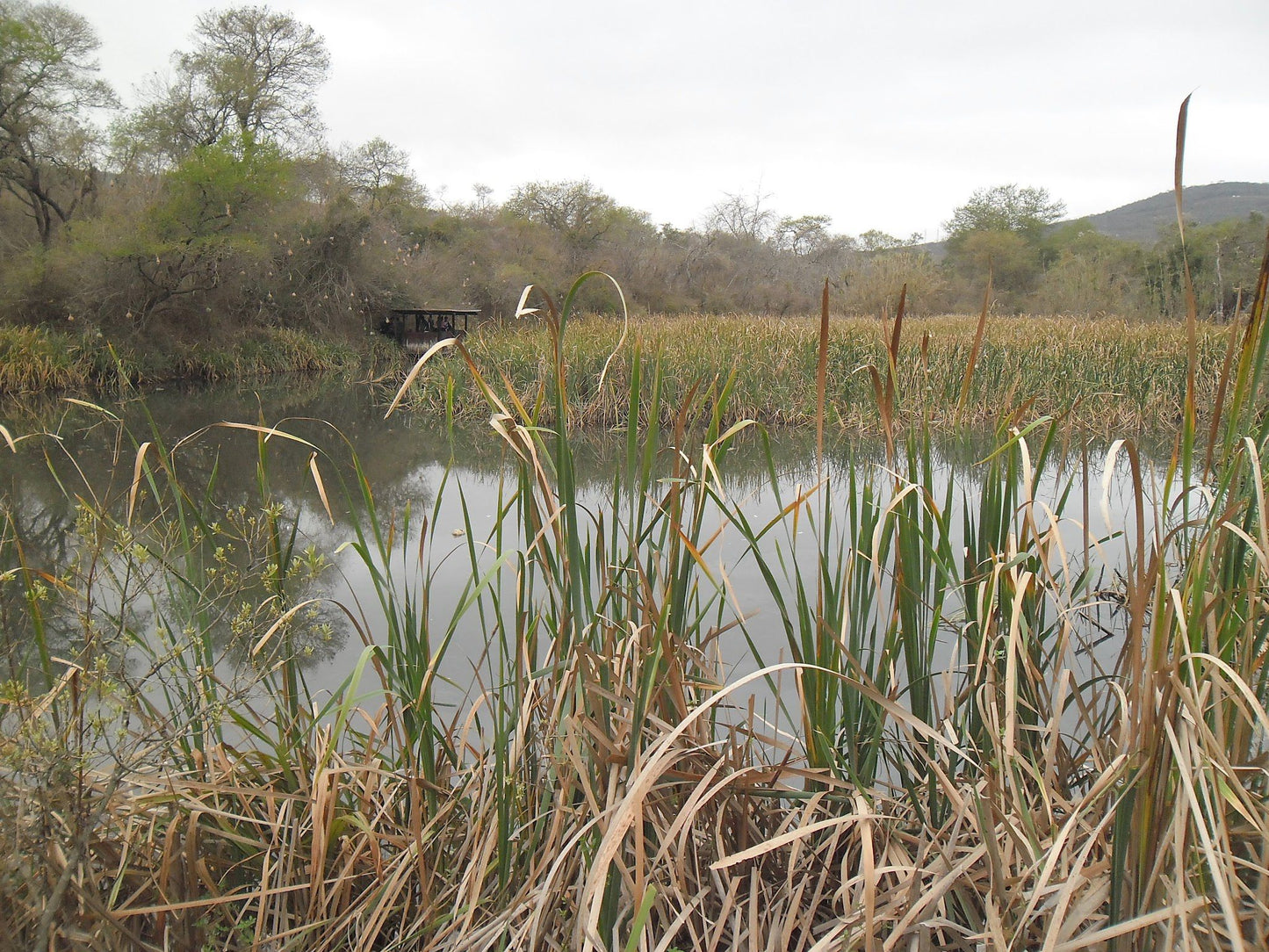  Bisley Valley Nature Reserve