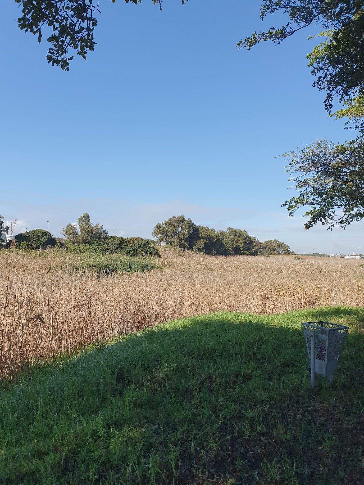  Blaauwberg Nature Reserve