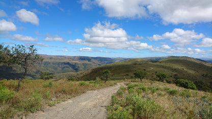  Black Leopard Camp