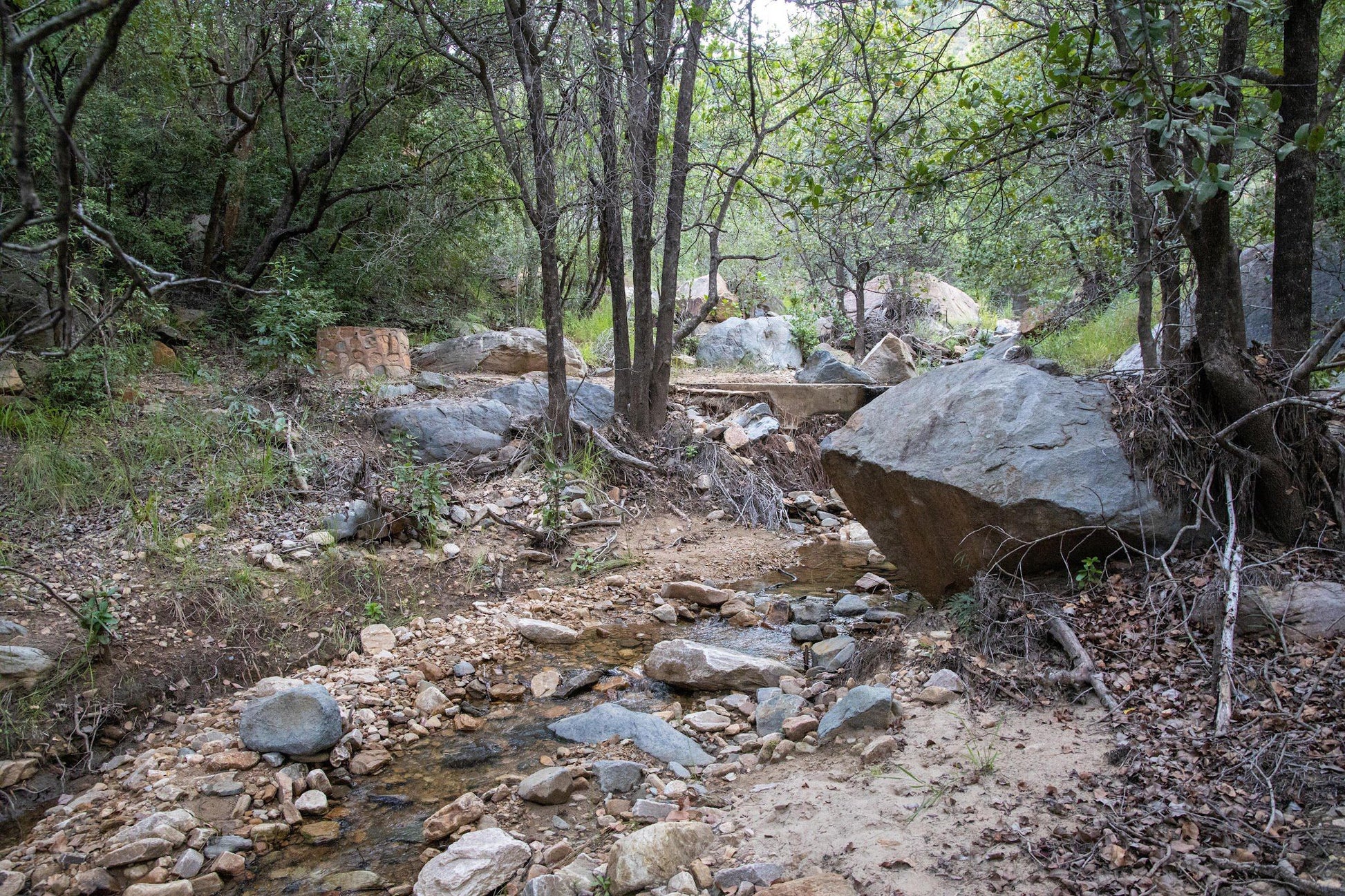  Black Leopard Camp