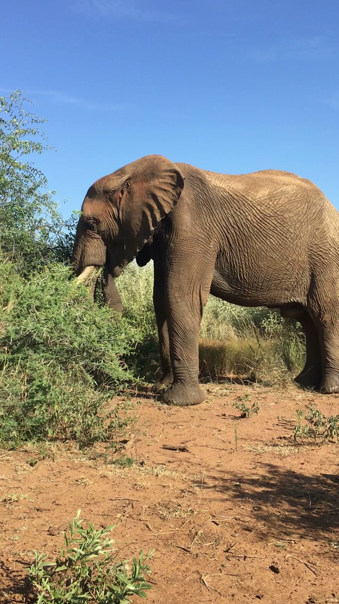  Black Rhino Game Reserve