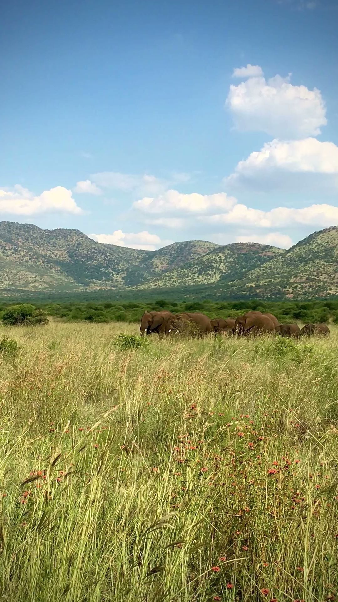  Black Rhino Game Reserve