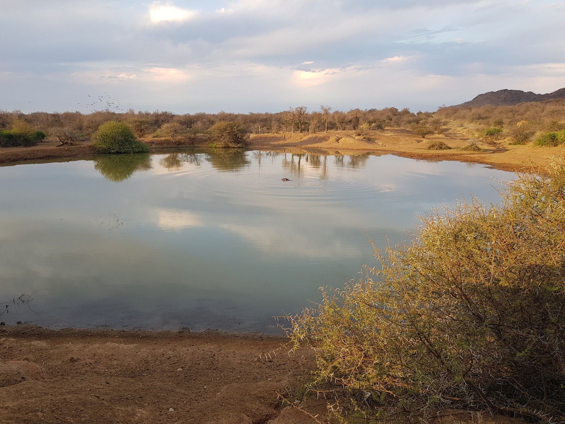  Black Rhino Game Reserve