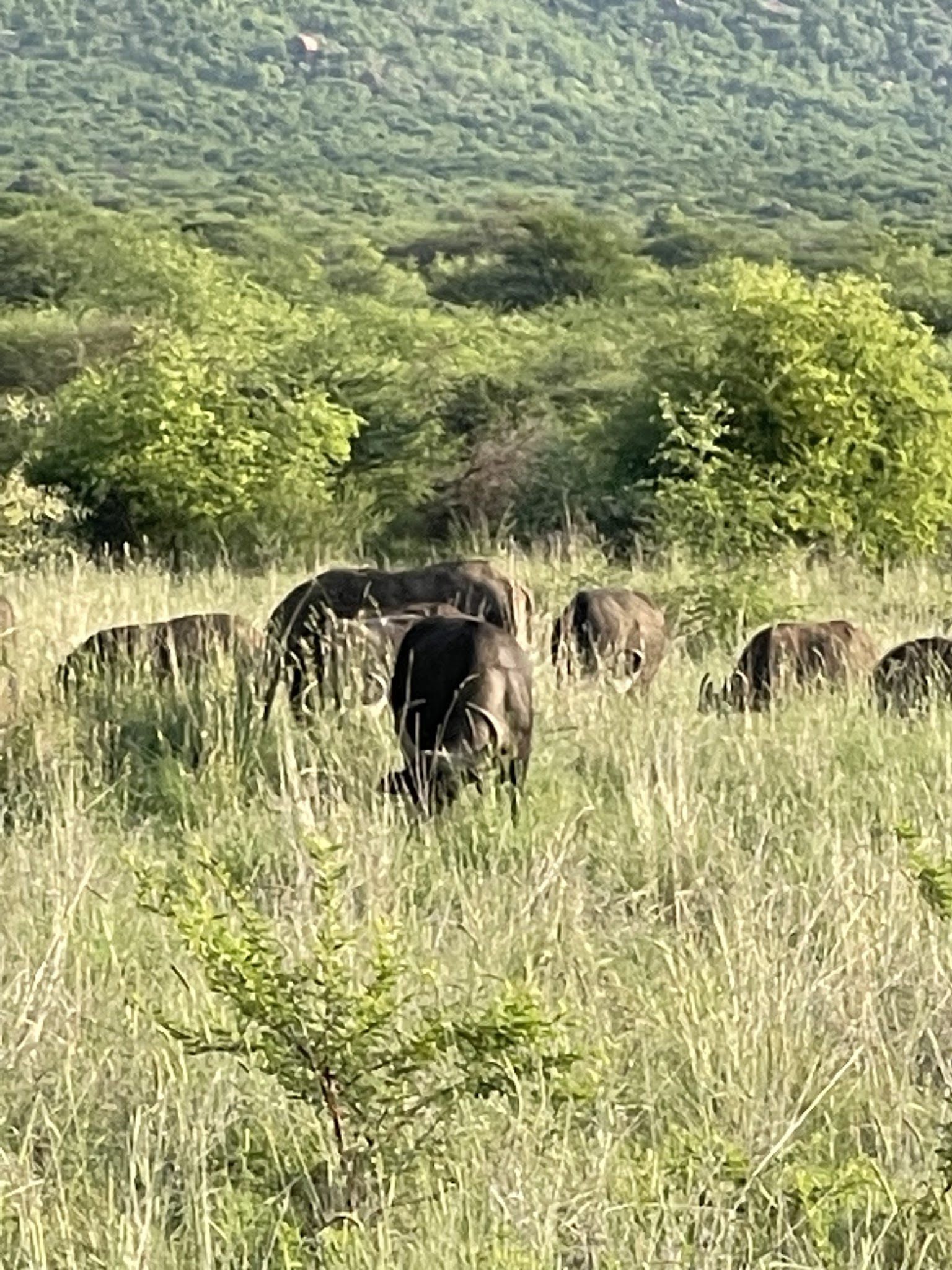  Black Rhino Game Reserve