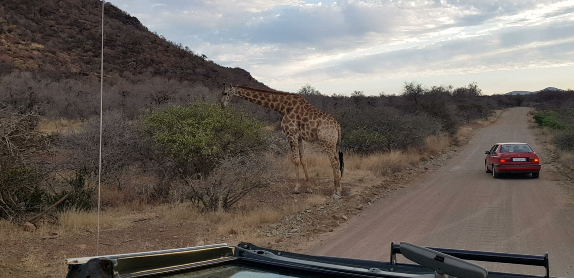  Black Rhino Game Reserve