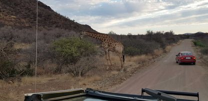  Black Rhino Game Reserve