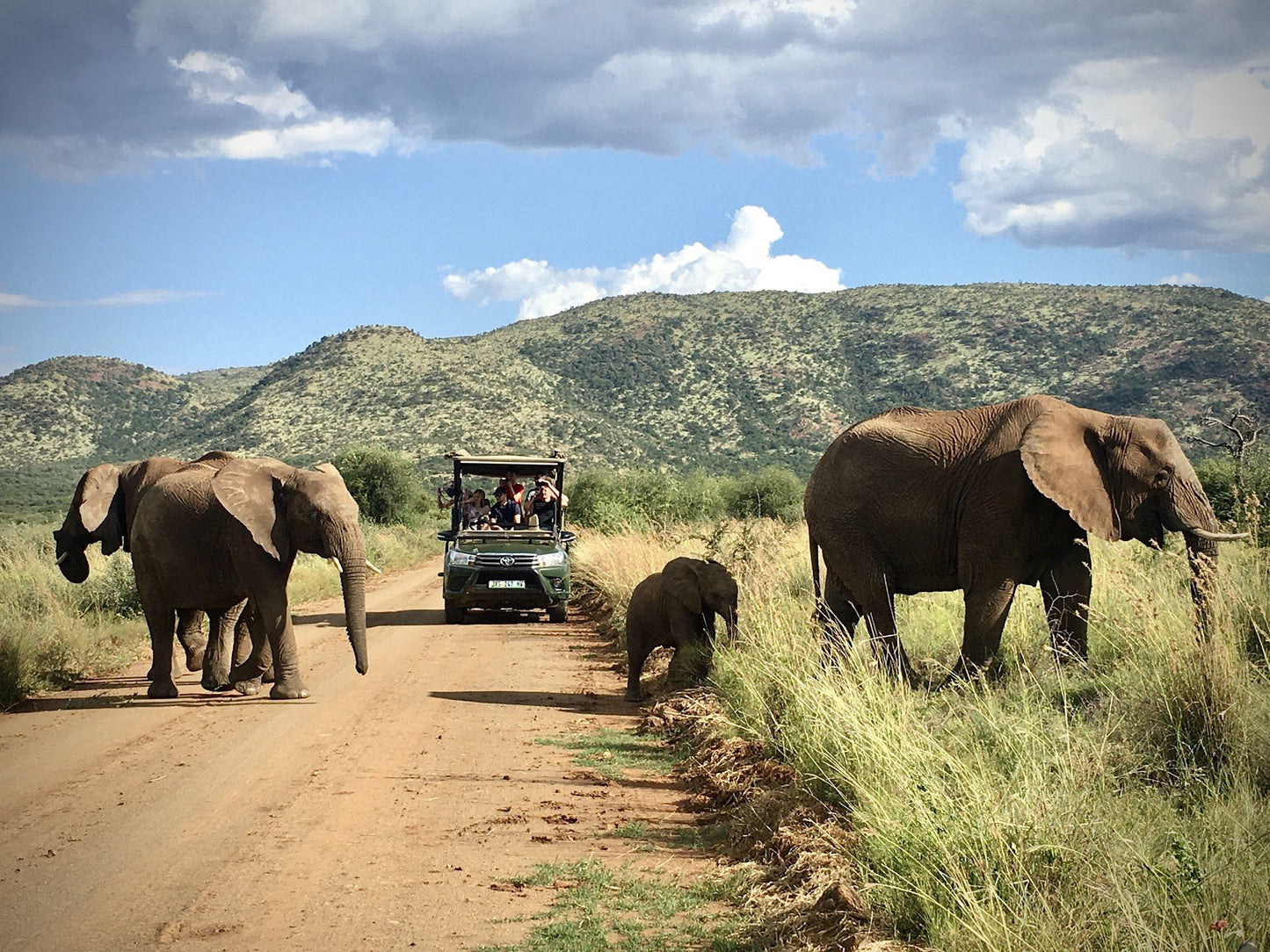  Black Rhino Game Reserve