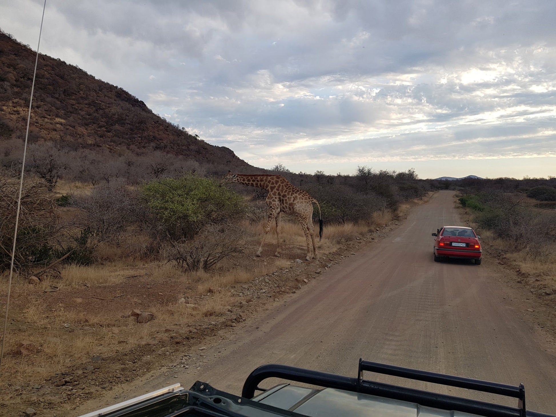  Black Rhino Game Reserve