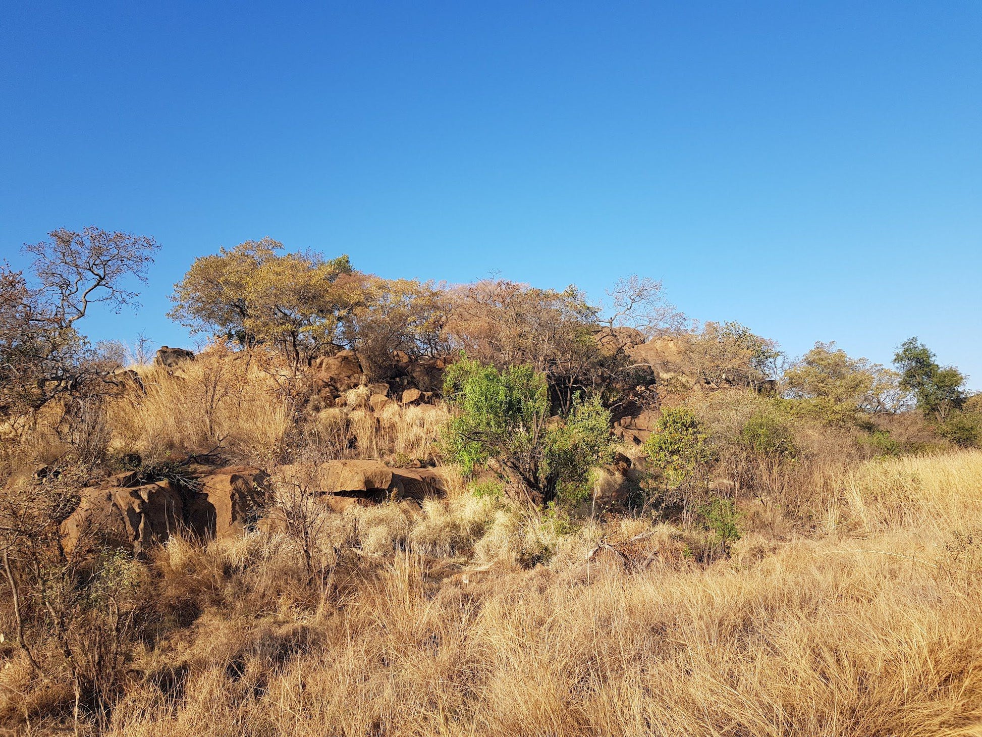  Black Rhino Game Reserve