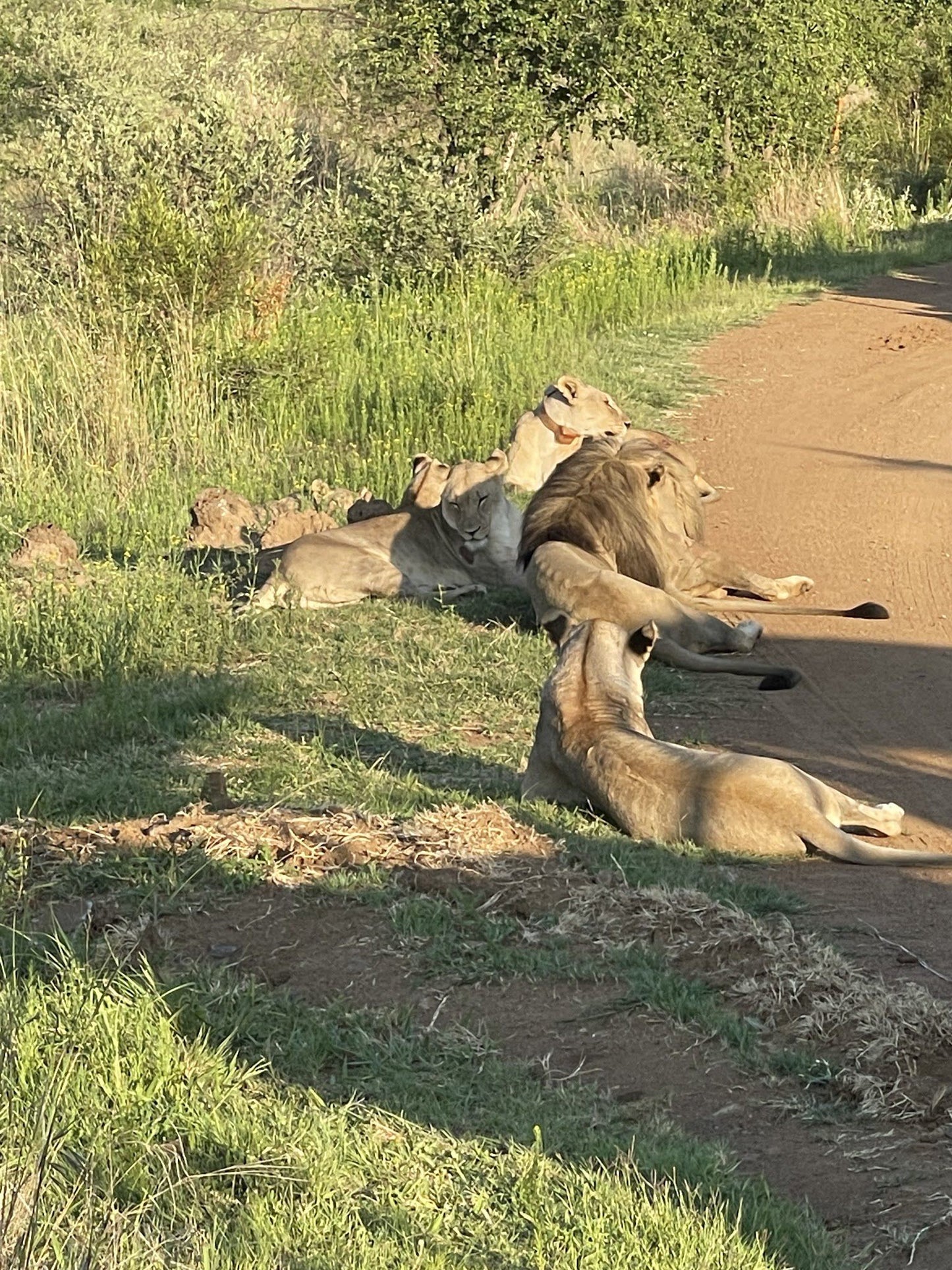  Black Rhino Game Reserve