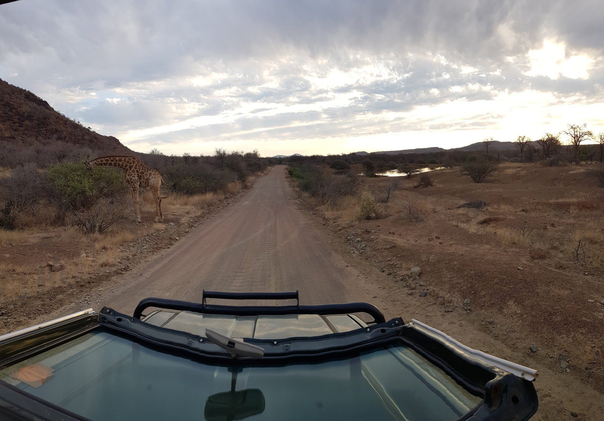  Black Rhino Game Reserve