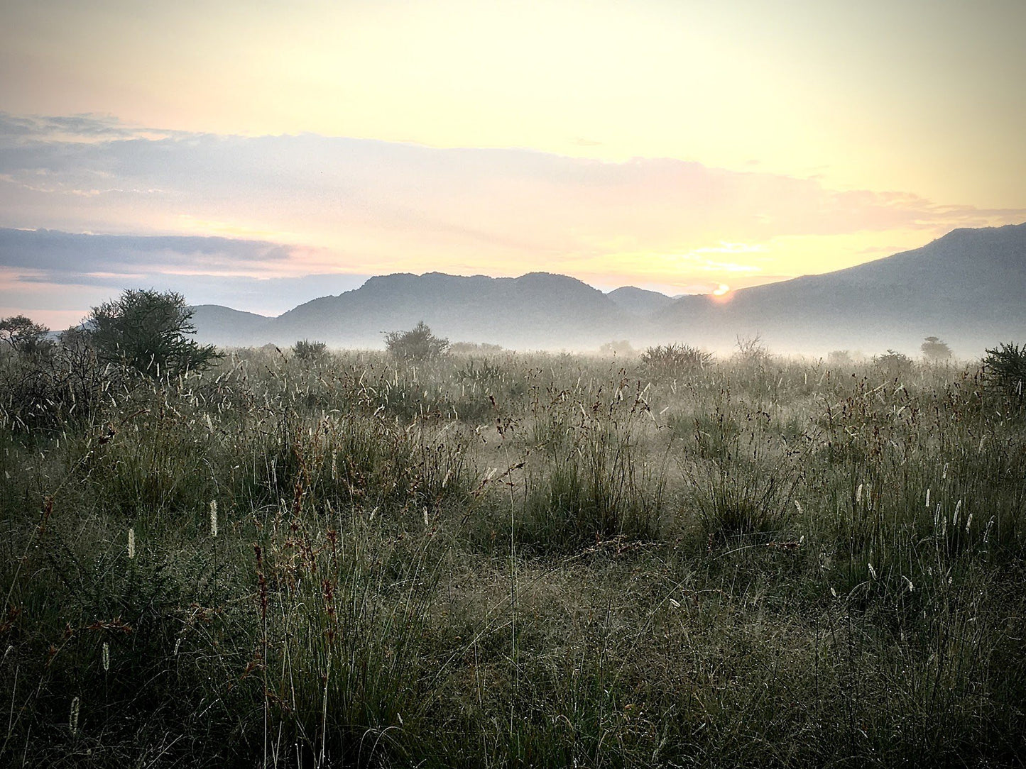  Black Rhino Game Reserve