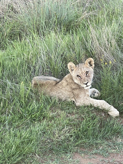  Black Rhino Game Reserve