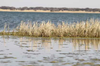  Bloemhof Dam Nature Reserve