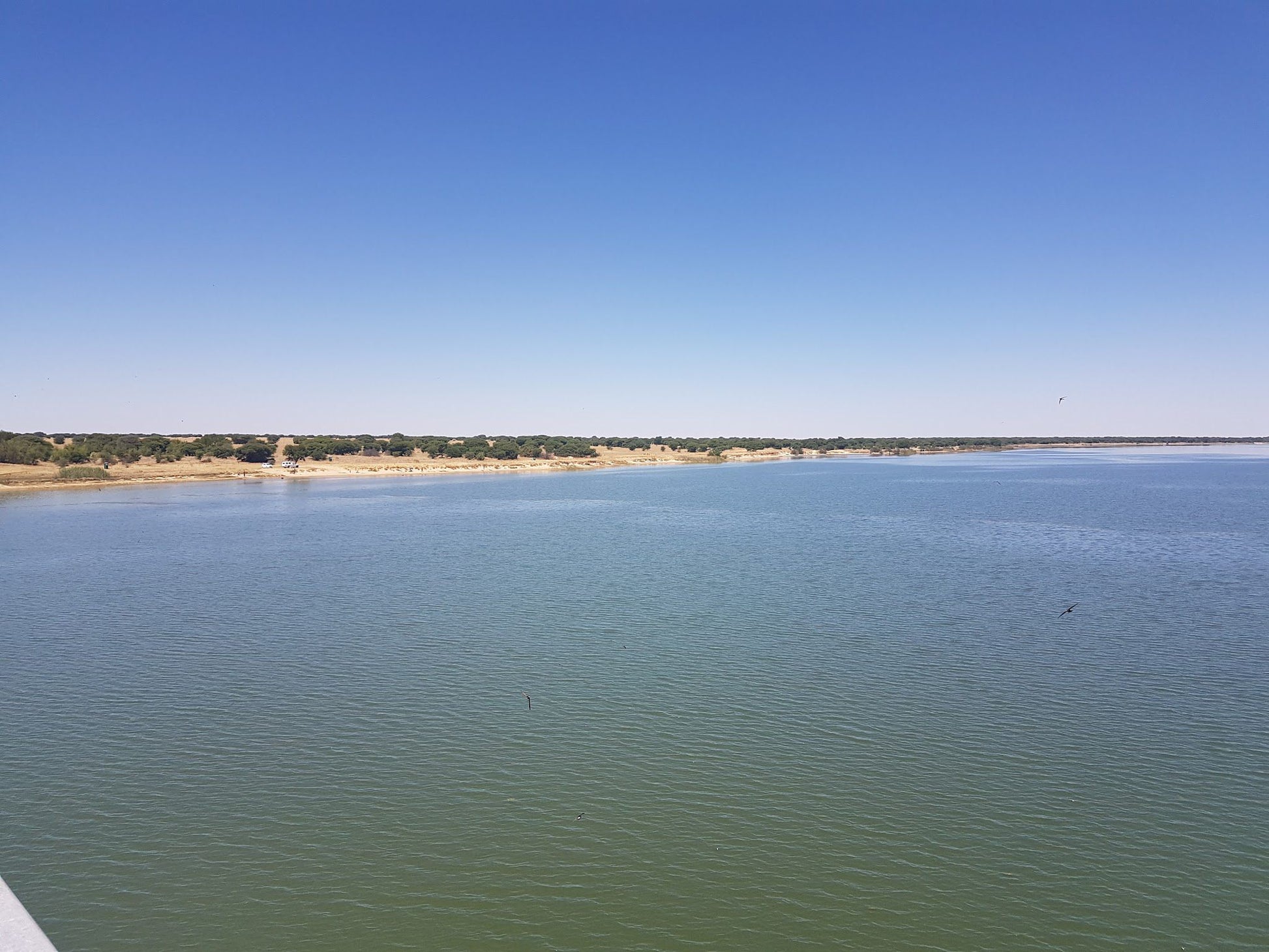  Bloemhof Dam Nature Reserve