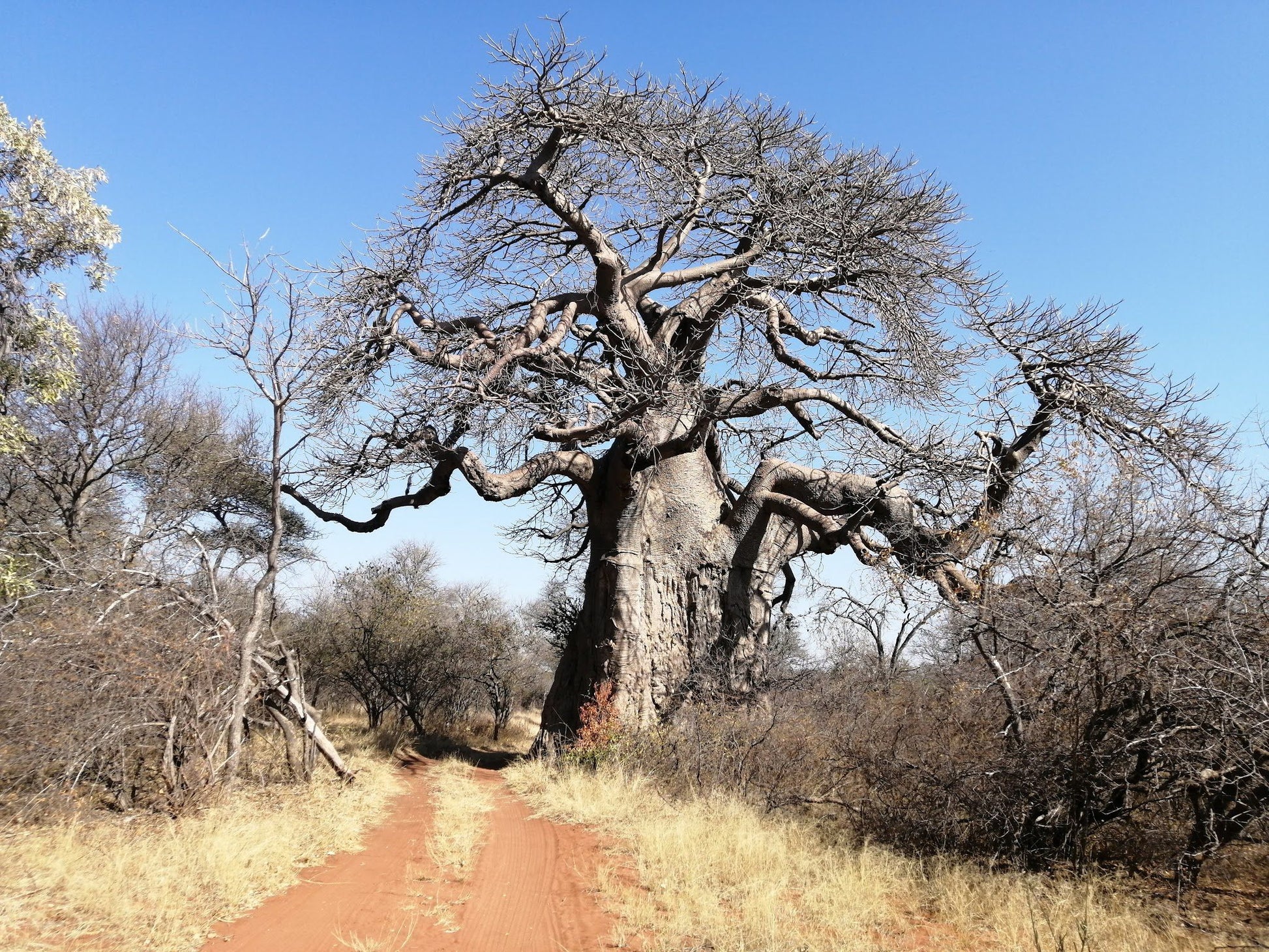  Blouberg Nature Reserve