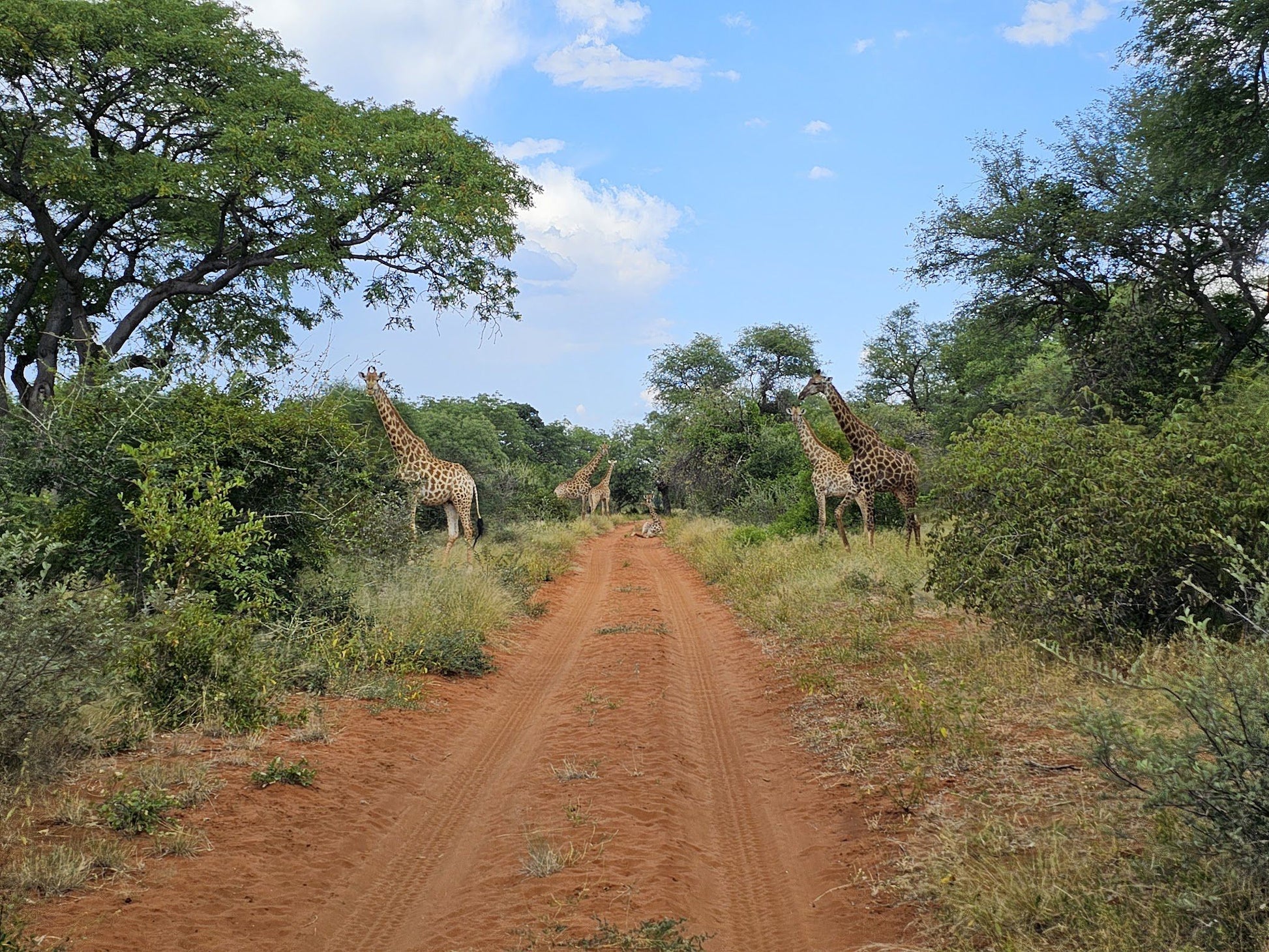  Blouberg Nature Reserve