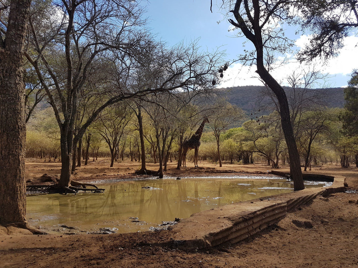  Blouberg Nature Reserve