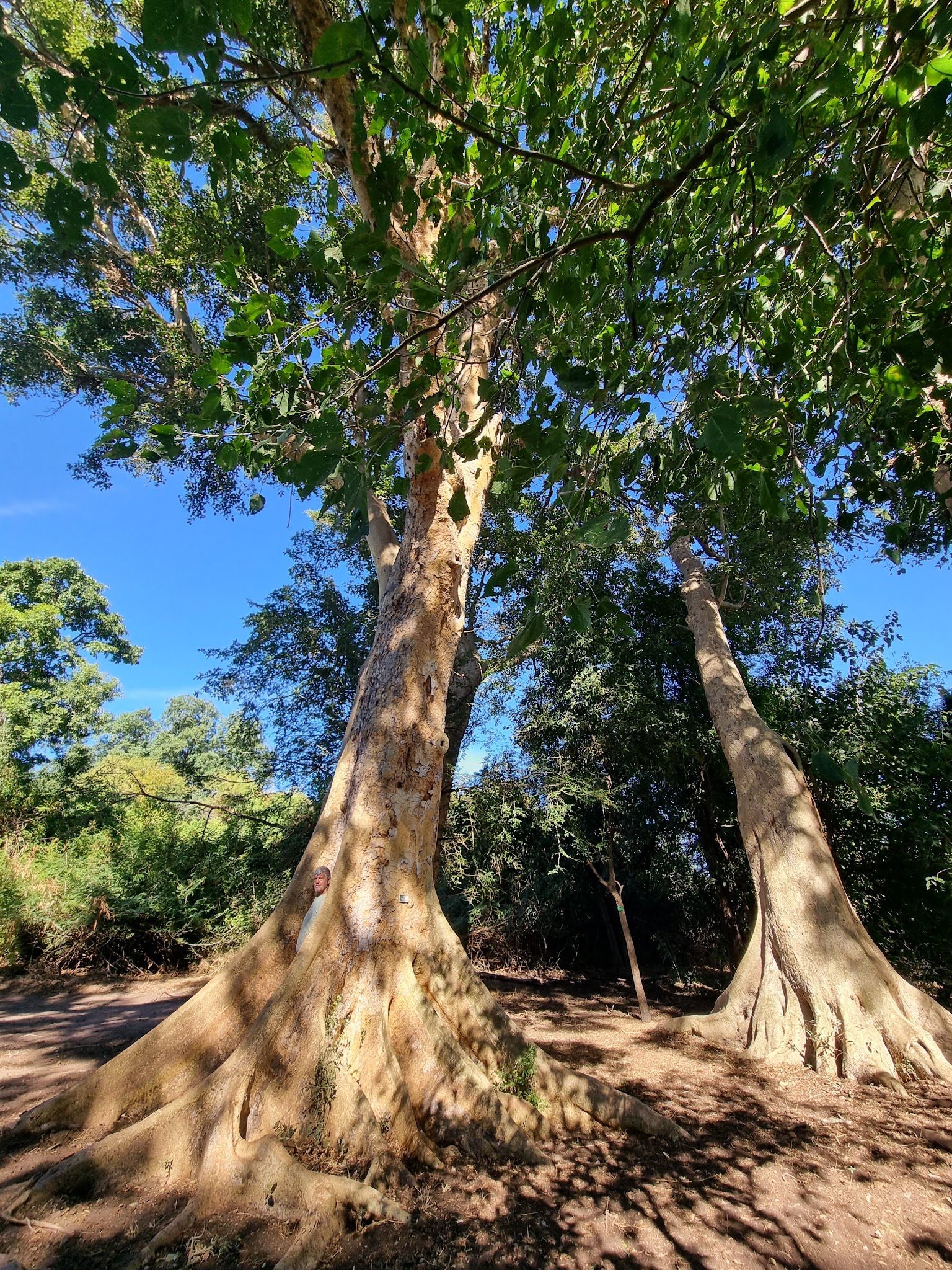  Blouberg Nature Reserve