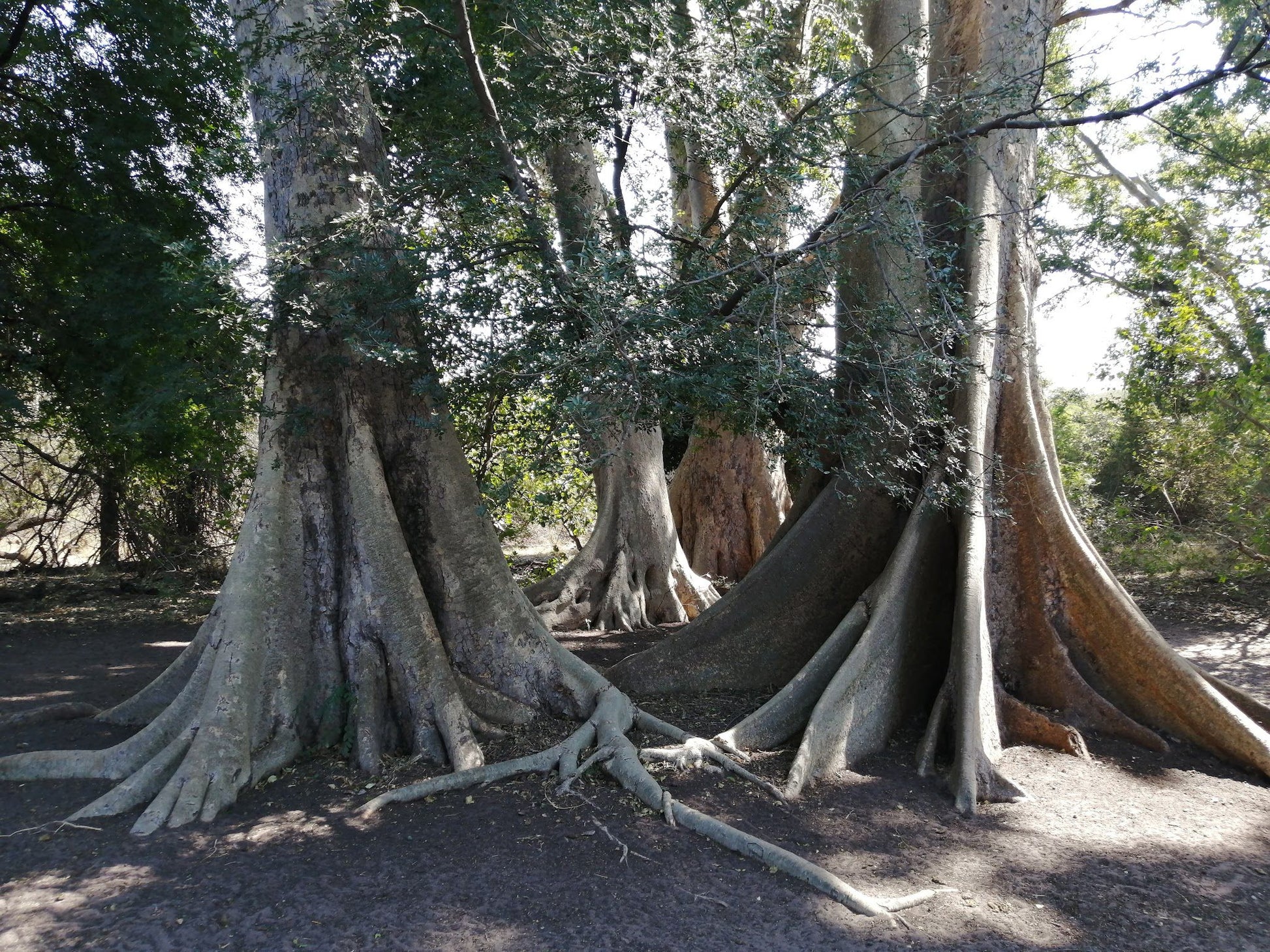  Blouberg Nature Reserve