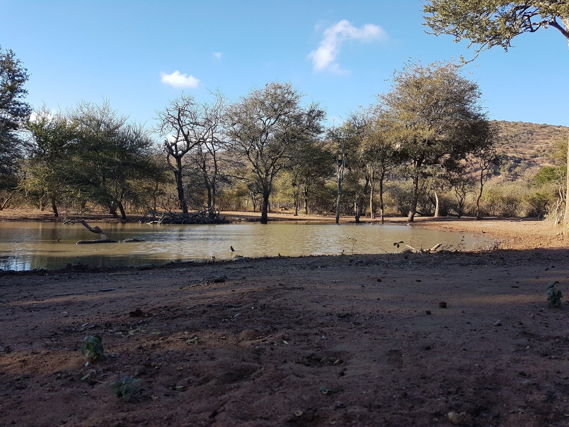  Blouberg Nature Reserve