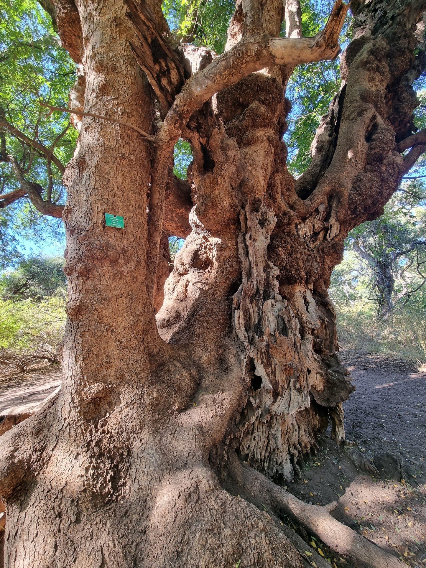  Blouberg Nature Reserve