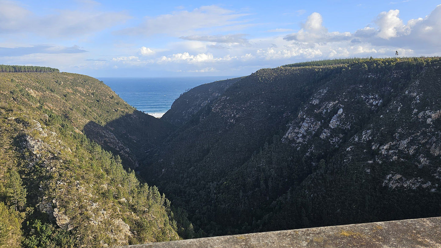  Bloukrans Bridge