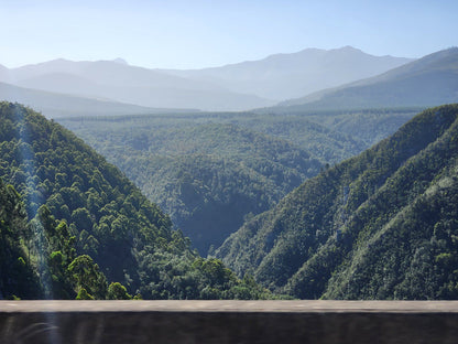  Bloukrans Bridge