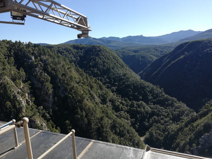  Bloukrans Bridge