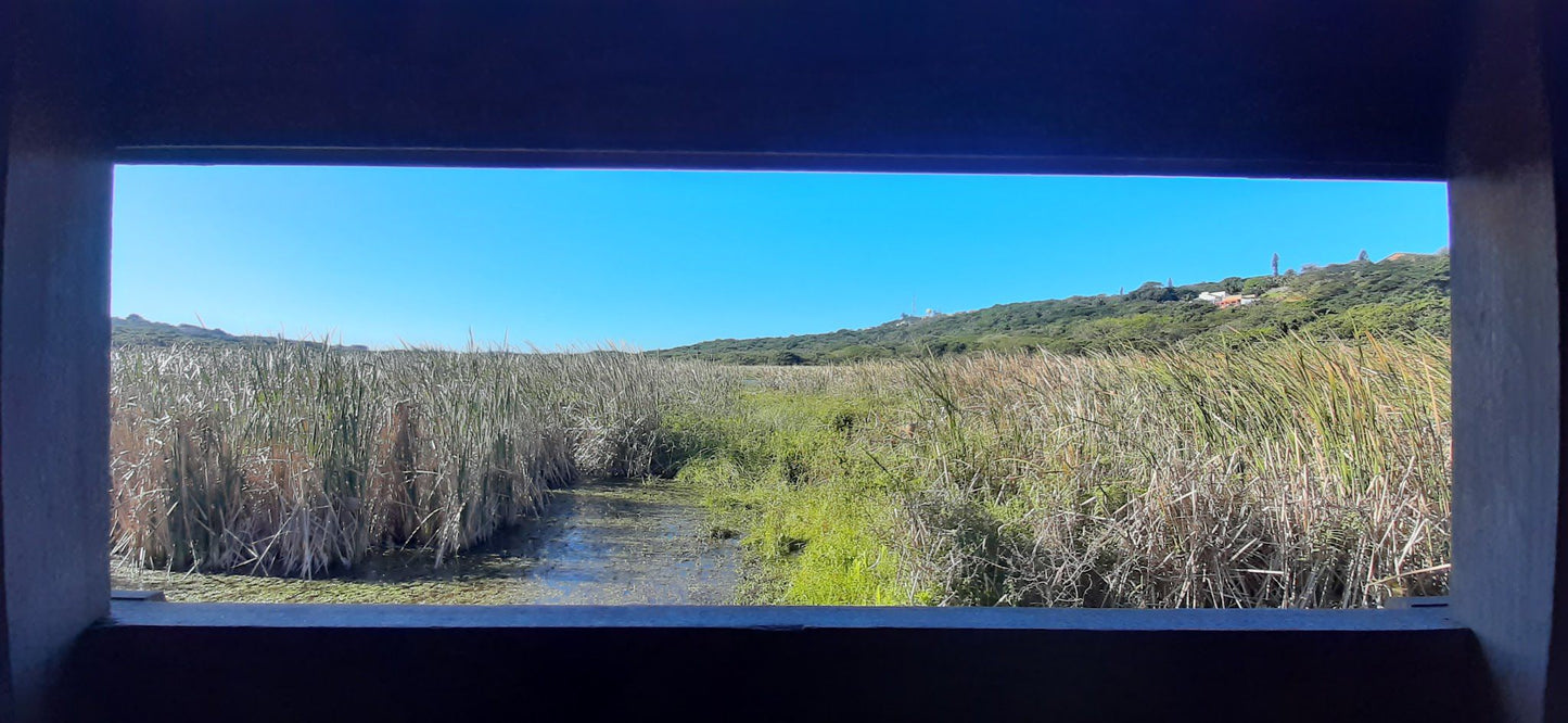  Bluff Nature Reserve Bird Hide