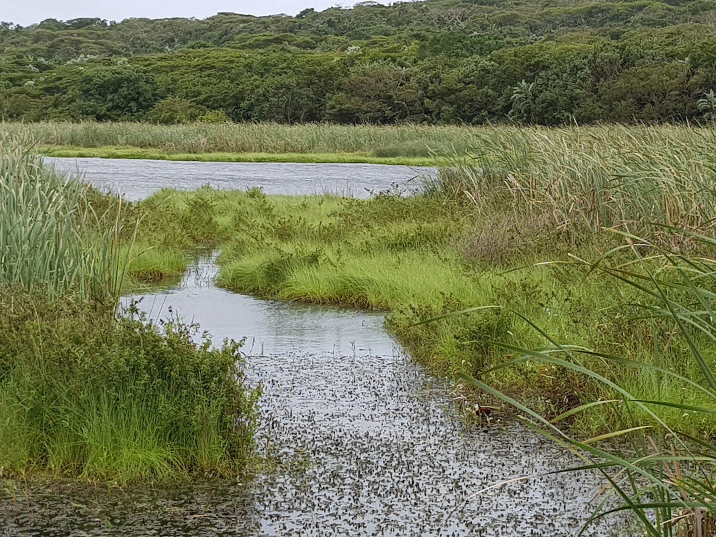  Bluff Nature Reserve